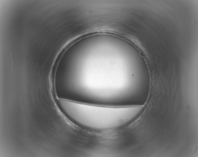 X0000071331032200606230758