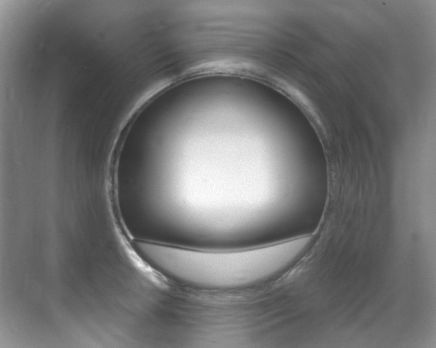 X0000071331042200606230758