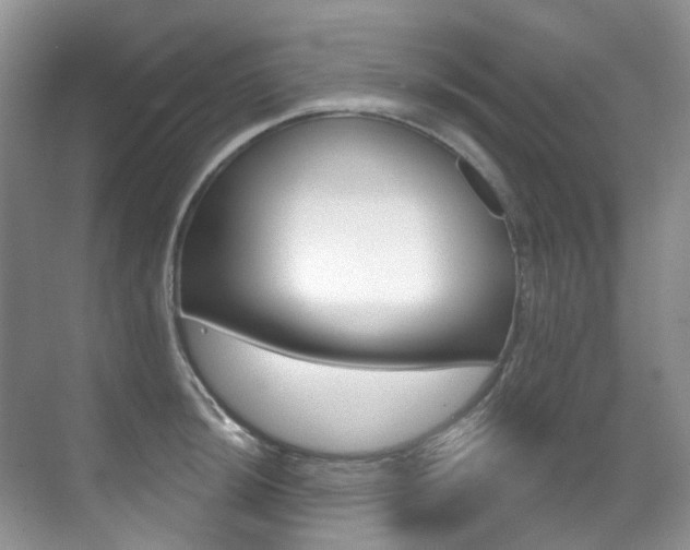 X0000071331044200606230758