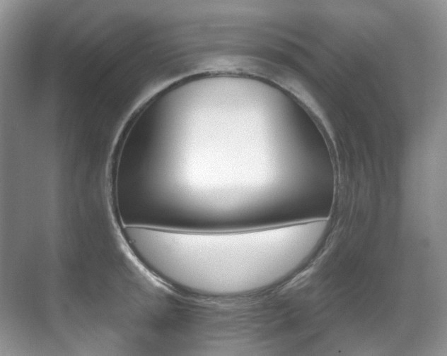 X0000071331045200606230758
