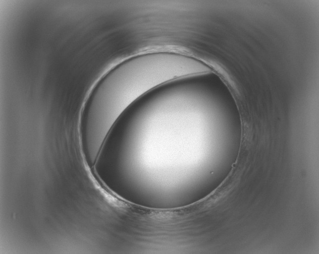 X0000071331046200606230759