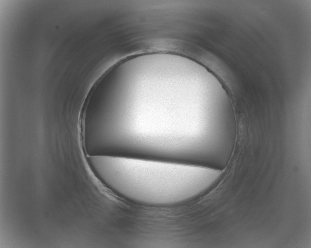 X0000071331047200606230759