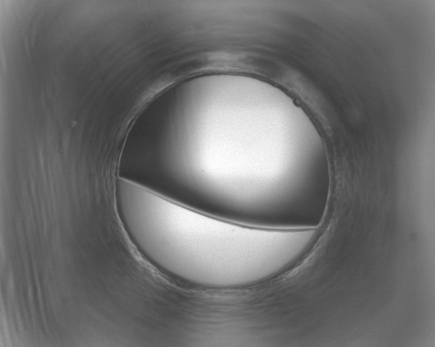 X0000071331049200606230759