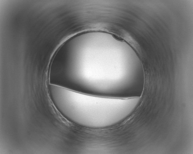X0000071331052200606230759