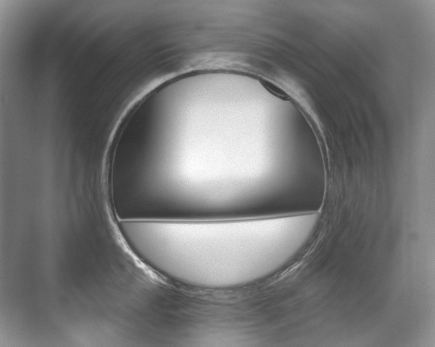 X0000071331053200606230759