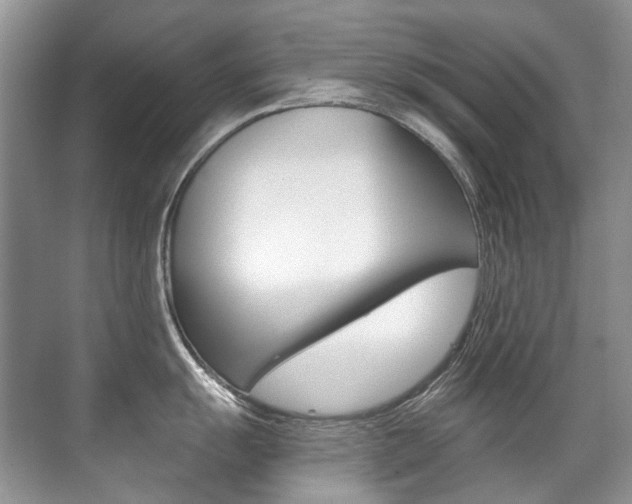 X0000071331055200606230759