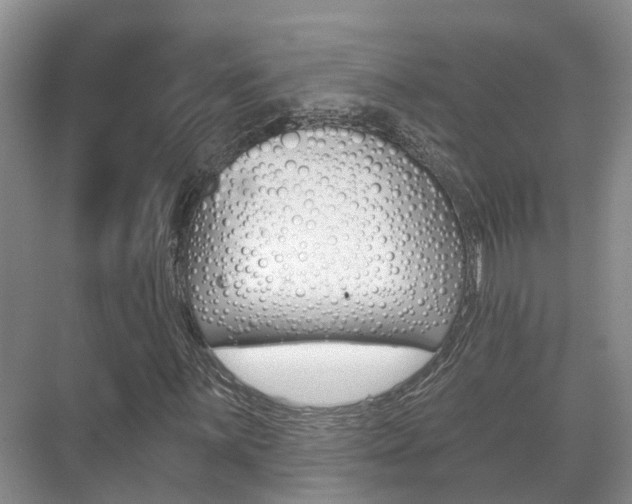 X0000071331059200606230758