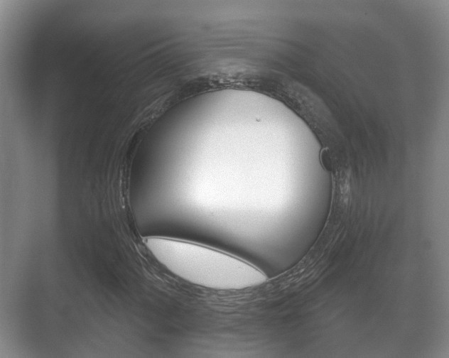 X0000071331060200606230758