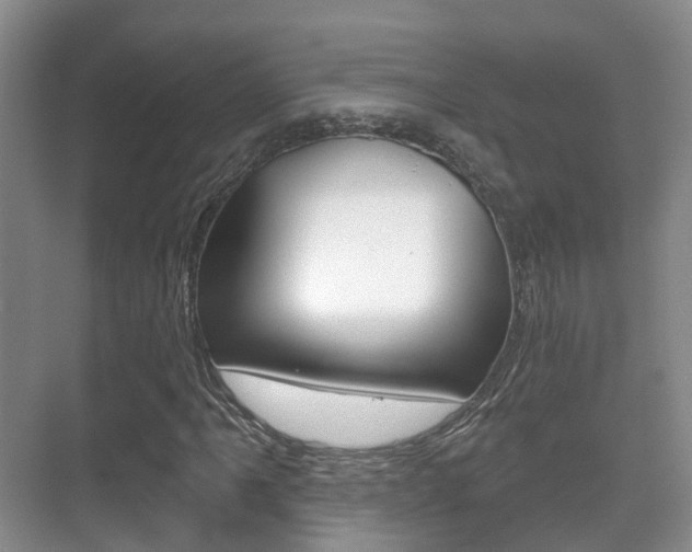 X0000071331061200606230758