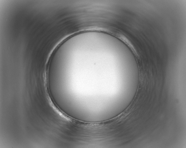 X0000071331092200606230757