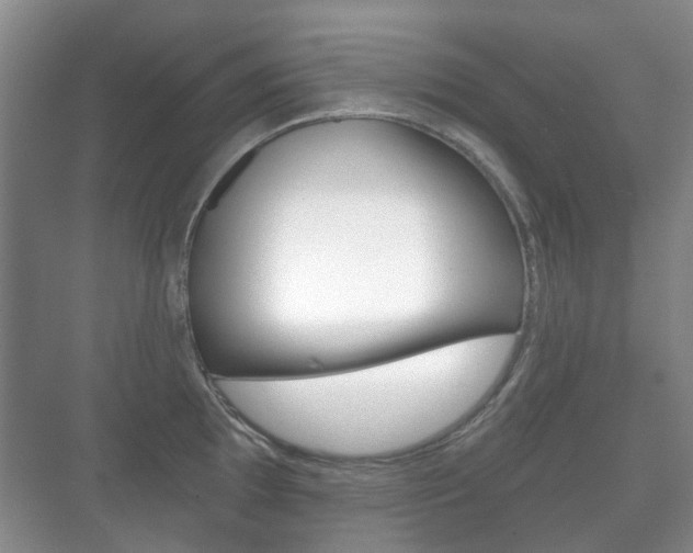 X0000071331097200606230757