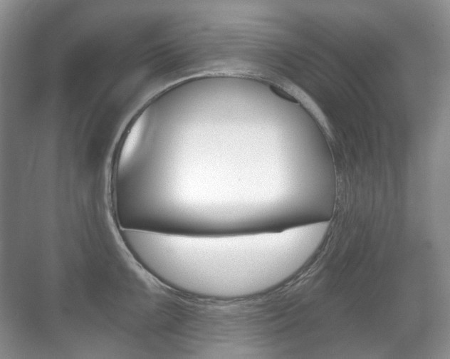 X0000071331099200606230757