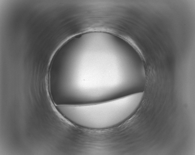 X0000071331100200606230757