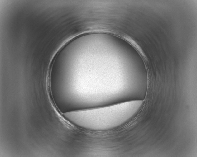 X0000071331101200606230757