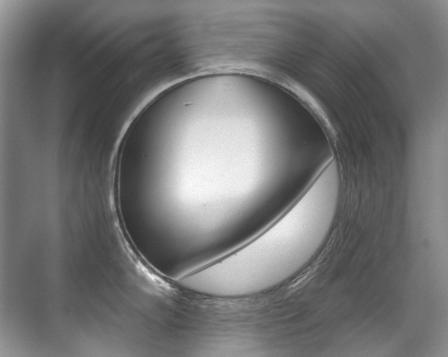 X0000071331102200606230757