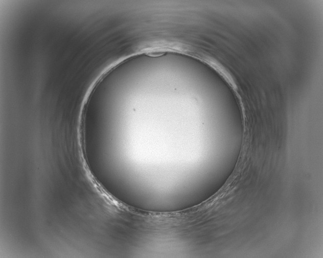 X0000071331104200606230757