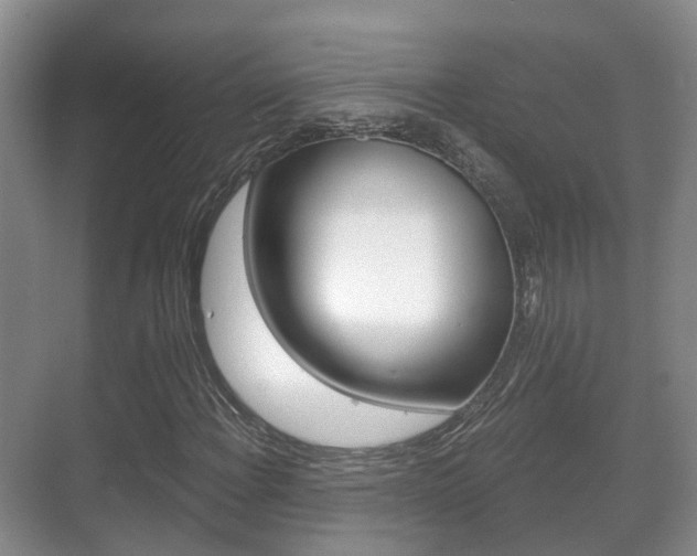 X0000071331108200606230756