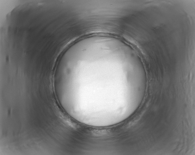 X0000071331121200606230757