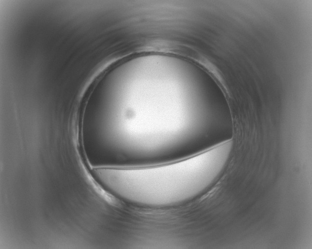 X0000071331131200606230757