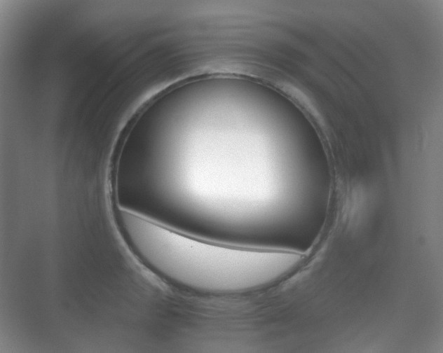 X0000071331133200606230757
