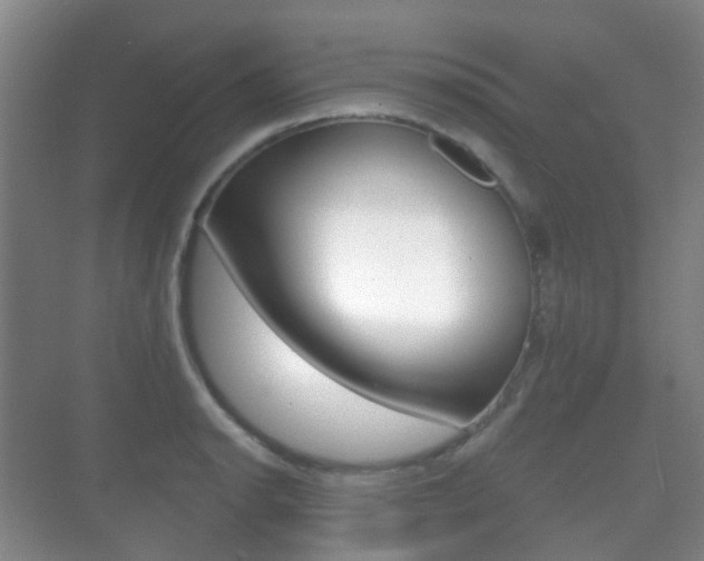 X0000071331134200606230757