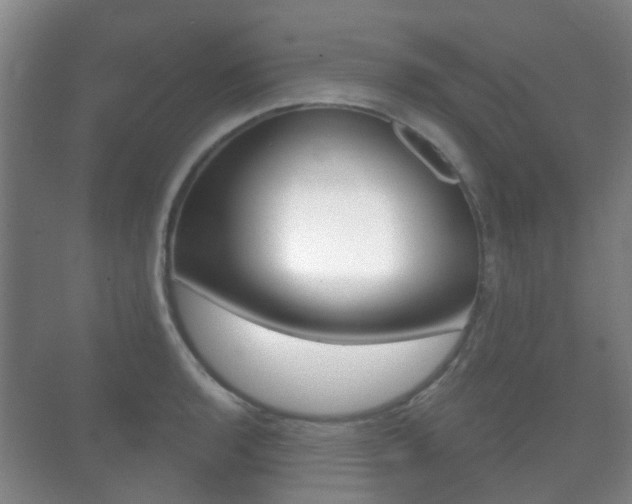 X0000071331136200606230757