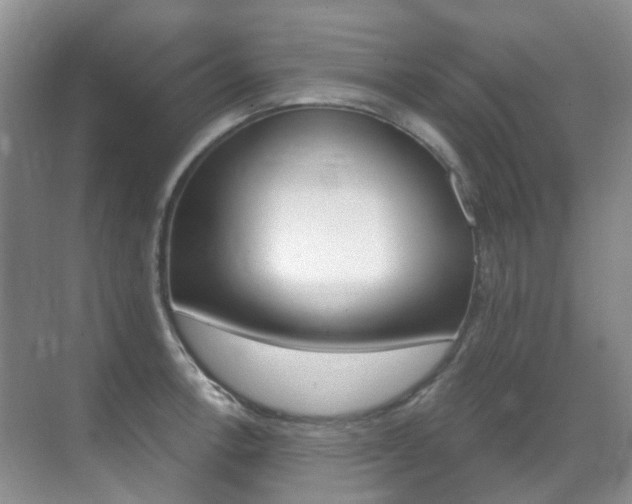 X0000071331138200606230757