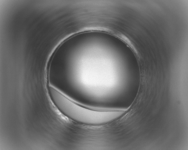 X0000071331140200606230757