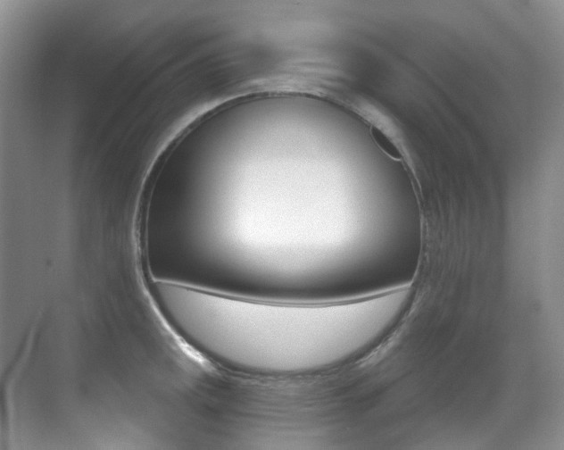 X0000071331141200606230757