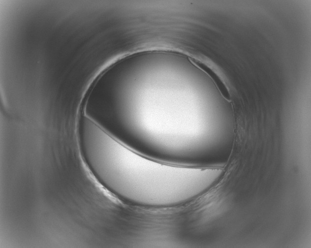 X0000071331142200606230757