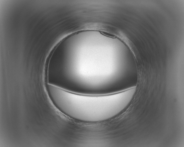 X0000071331147200606230757