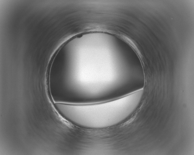 X0000071331149200606230757