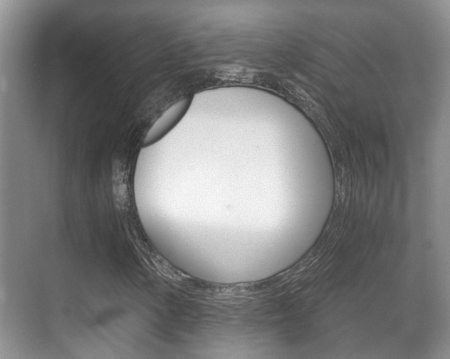 X0000071331154200606230756