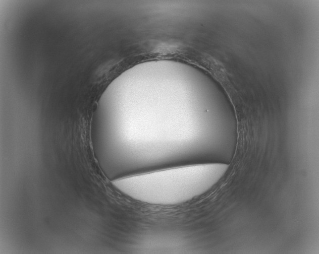 X0000071331158200606230756