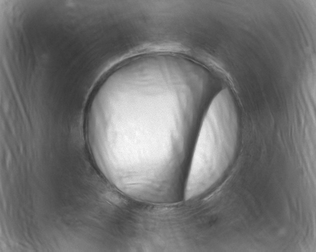 X0000071331174200606230756