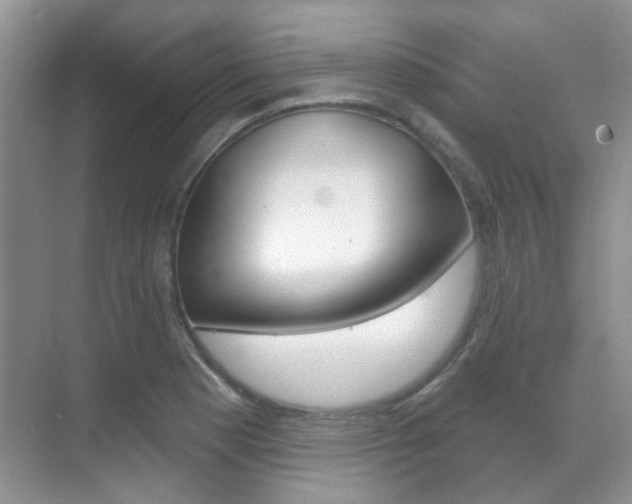 X0000071331177200606230756