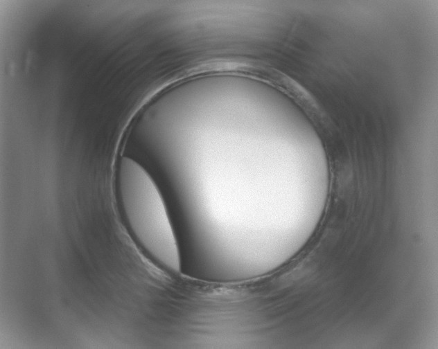 X0000071331178200606230756
