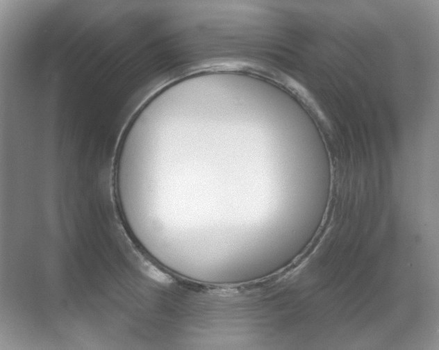 X0000071331186200606230756
