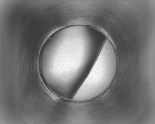 X0000071331187200606230756