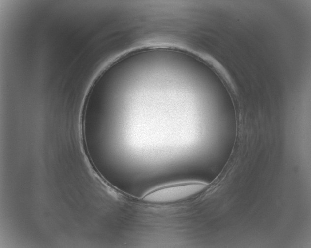 X0000071331191200606230756