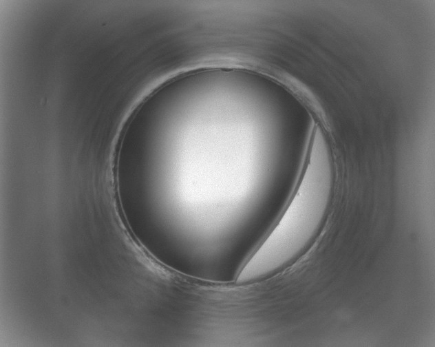 X0000071331192200606230756