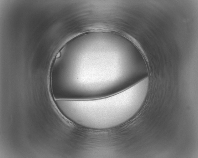 X0000071331195200606230756