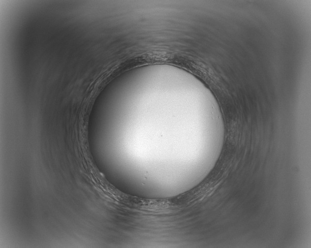 X0000071331201200606230755