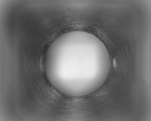 X0000071331203200606230755