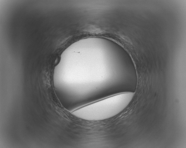 X0000071331205200606230755