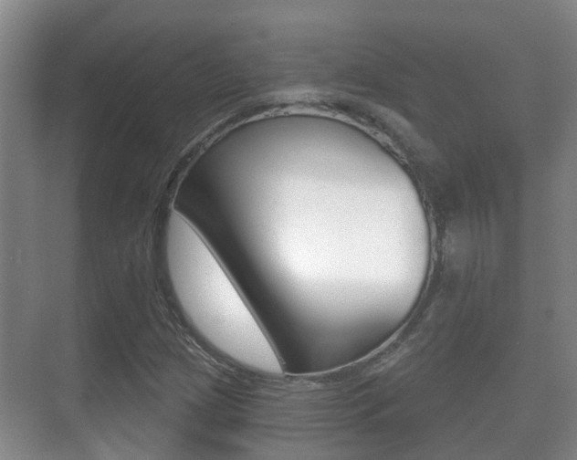 X0000071331209200606230755