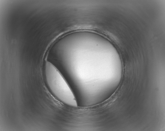 X0000071331212200606230755
