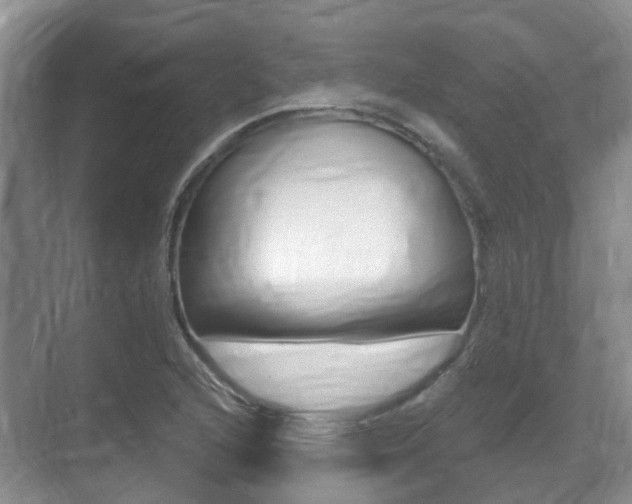 X0000071331216200606230755