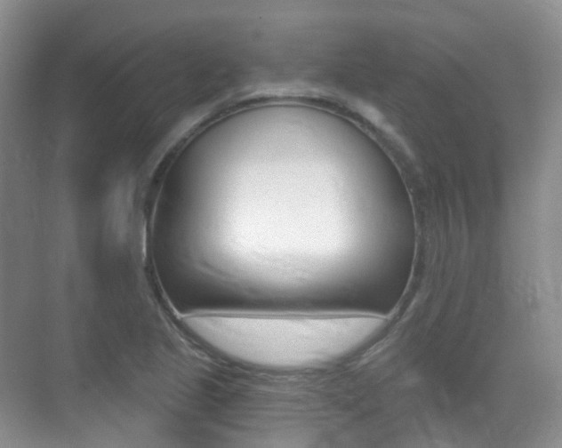 X0000071331221200606230755