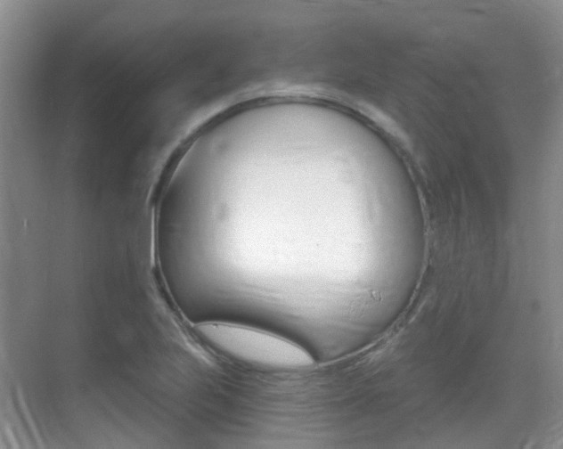 X0000071331223200606230755
